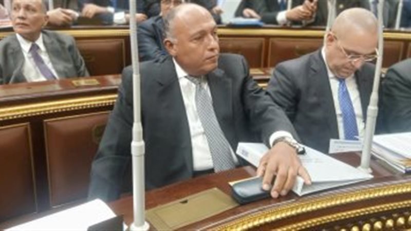 وزير الخارجية فى