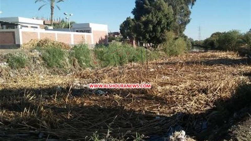صور للترعة