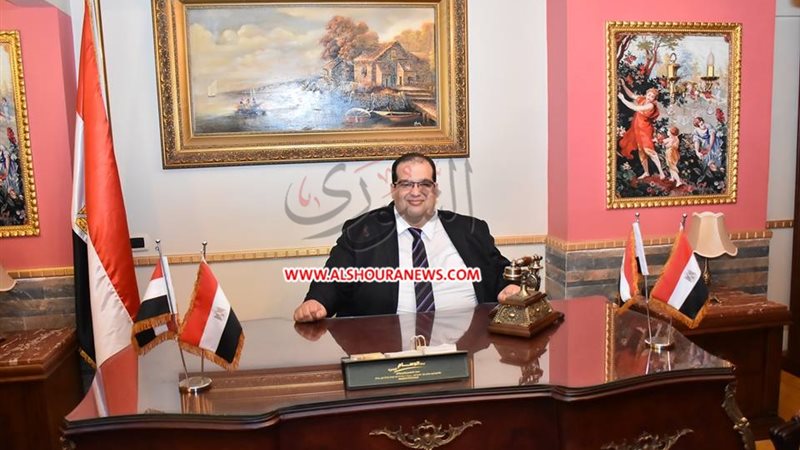 المؤرخ أحمد عبد الصبور
