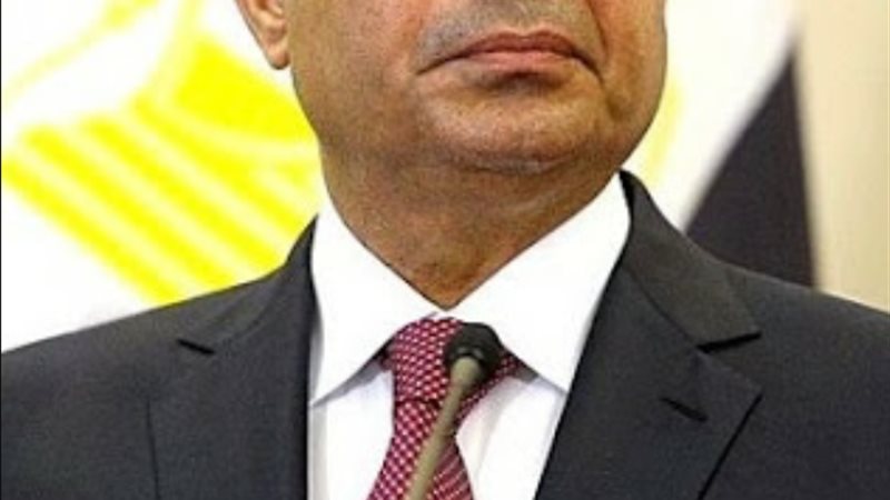 الرئيس عبدالفتاح
