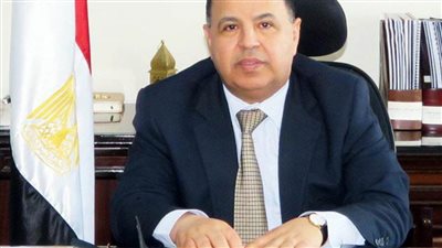 وزير المالية: إنشاء نظام إلكتروني للبضائع قبل شحنها إلى الموانئ المصرية 