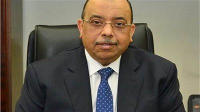 تفاصيل اجتماع وزير التنمية المحلية مع المحافظين لتنفيذ اجراءات الحكومة فى احتفالات رأس السنة 