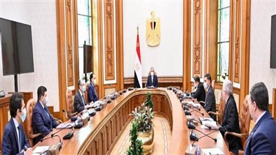 عاجل.. السيسي يتابع الموقف التنفيذي لمحطة الضبعة النووية