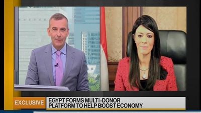 «المشاط» تزف بشرى سارة: 2021 عام تعزيز دور القطاع الخاص في تحقيق التنمية