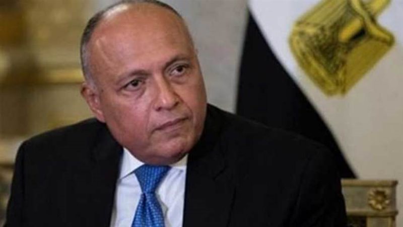 سامح شكري وزير الخارجية