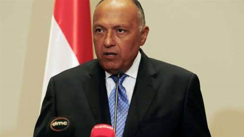 سامح شكري وزير الخارجية