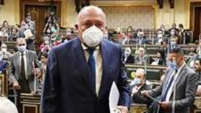 عاجل| وزير الخارجية يكشف عن كواليس مفاوضات ملف سد النهضة للبرلمان 