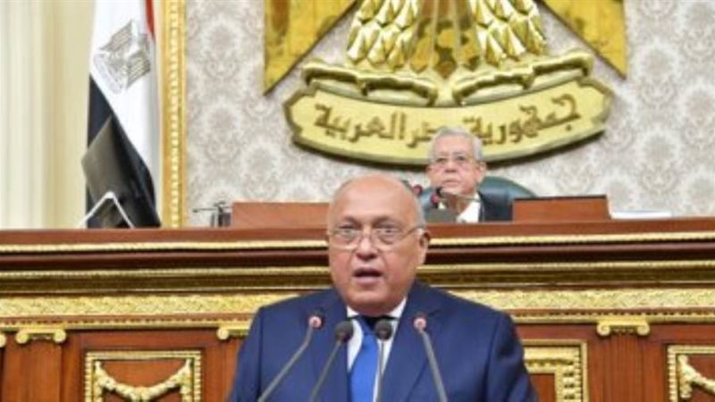 وزير الخارجية امام