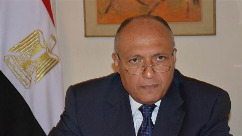سامح شكري وزير الخارجية