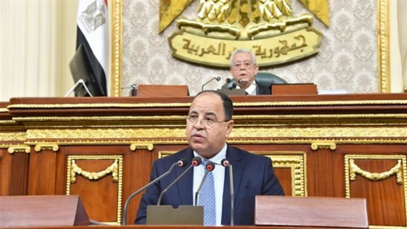 وزير المالية فى البرلمان