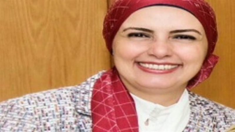 رئيس قطاع تطوير نظم