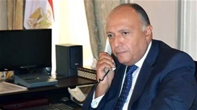 شكري ونظيره الفنلندي يتباحثان حول تطورات ملف سد النهضة 