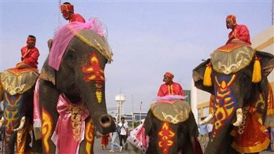 في عيد الحب.. زفاف جماعي على ظهور الأفيال في تايلاند  