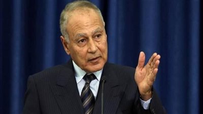 أبوالغيط: الاجتماع الوزاري الأخير جدد الإجماع العربي على مركزية القضية الفلسطينية