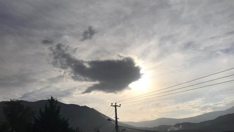 الشورى