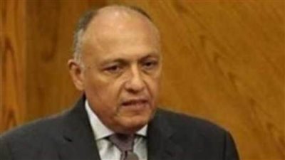 وزير الخارجية: مصر تتعامل مع قضية الهجرة وفقا لرؤية استراتيجية 