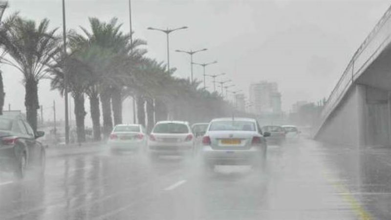ارشيفية
