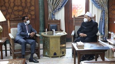 الإمام الأكبر: الأزهر لا يدخر جهدا في سبيل الارتقاء بالتعليم بأفريقيا