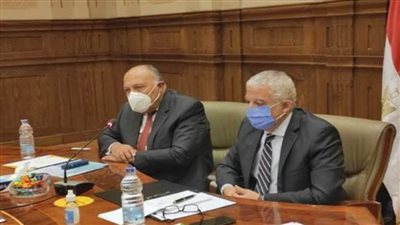 شكري: لابد أن تتفق أقوال تركيا مع الأفعال ونتابع التزام قطر باتفاق العلا 