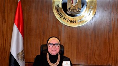 نيفين جامع: حريصون على نقل الخبرة المصرية  لدول المنطقة العربية