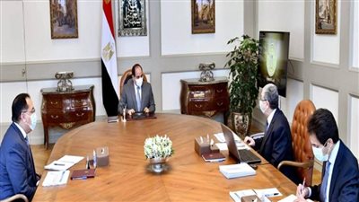 السيسي يوجه بالإسراع في تنفيذ مشروعات إمدادات خطوط التغذية الكهربائية لسيناء (تفاصيل)