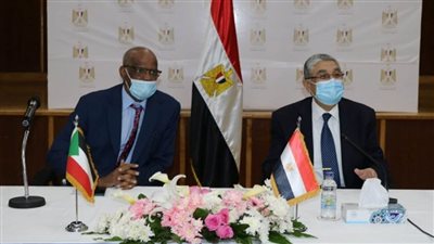 بالصور | 453 مليون جنيه لرفع قدرة خط الربط الكهربائي بين مصر والسودان لـ 300 ميجاوات
