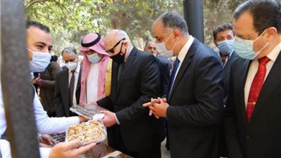  لتعزيز الصادرات..الزراعة: سنتوسع في زراعة التمور بإضافة 10 ملايين نخلة 