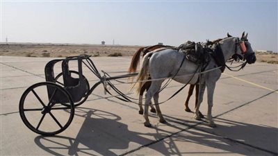 بالصور | صنعت 22 عجلة حربية.. 