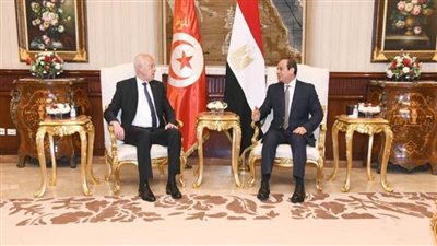 لوقف التدخل الخارجي.. مصر وتونس تؤكدان الاستمرار في دعم الشعب الليبي