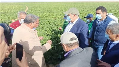 بالصور | القصير: مشروع غرب المنيا يهدف لزيادة الرقعة الزراعية 