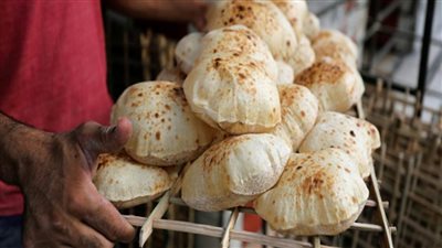 لمتابعة إنتاج رغيف الخبز.. 