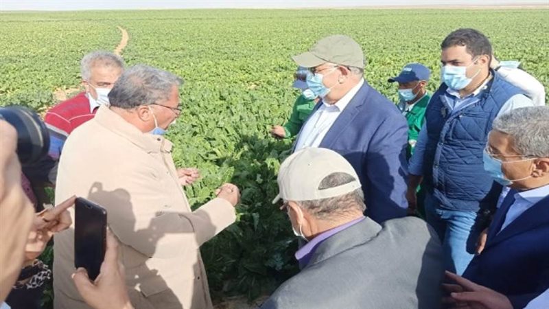 الشورى