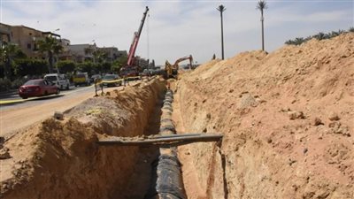 بالصور | مسئولو 