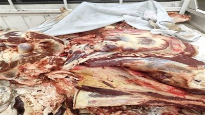 بالصور | ضبط 21 طن لحوم وأسماك ودواجن غير صالحة بالجيزة