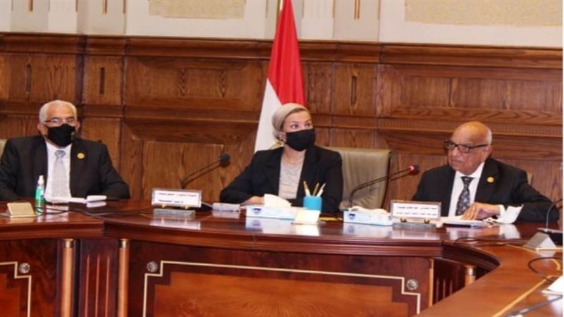 الشورى