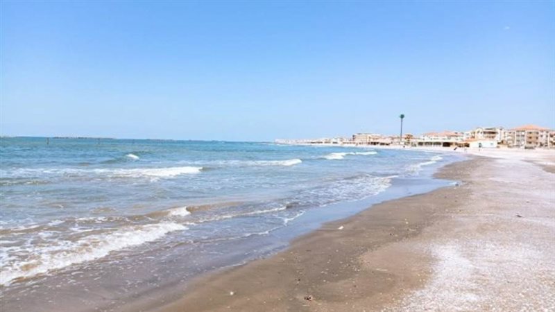 أرشيفية