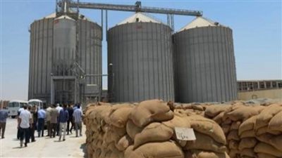 التموين: نسب توريد القمح وصلت لـ 1.4 مليون طن خلال الأسبوعين الماضيين