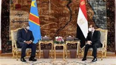 الاتحاد الأفريقي: مصر مستعدة وتدعم الحل السلمى والاتفاق القانونى بشأن سد النهضة (فيديو)