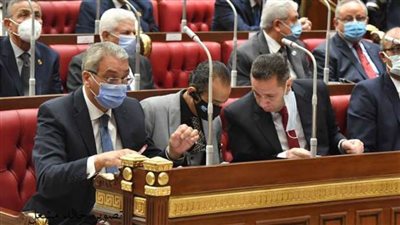 مجلس الشيوخ يوافق نهائياً على تعديلات «قانون المهندسين» 