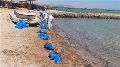 بالصور | البيئة تتابع أعمال مكافحة التلوث الزيتي شمال الغردقة