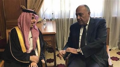 وزير الخارجية يبحث هاتفيا مع نظيره السعودي التطورات على الساحة الفلسطينية