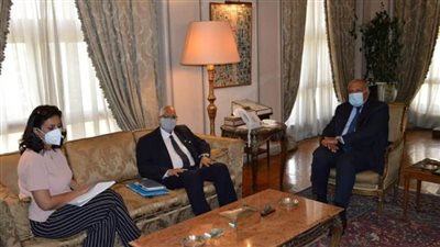 بالصور | شكري يبحث مع نظيره المالي سُبل تعزيز العلاقات بين البلدين