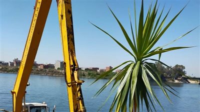 بالصور.. رصد وإزالة فورية لتعديات على نهر النيل بالقاهرة وسوهاج والدقهلية