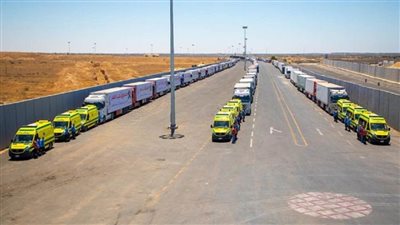 بالصور | قافلة 