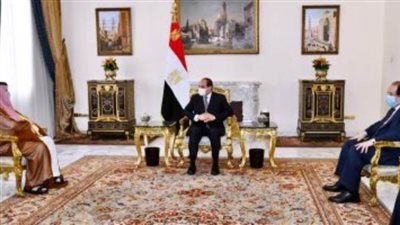 الرئيس السيسي يستقبل تركى آل الشيخ ويؤكد: الشراكة مع السعودية استراتيجية وبناءة