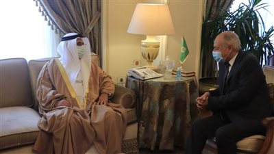 العسومي يؤكد على أهمية التكامل بين الدبلوماسية البرلمانية والدبلوماسية الرسمية لنصرة القضايا العربية