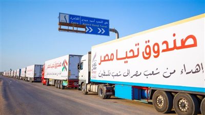 رامي رضوان: مصر ساعدت غزة بـ375 شاحنة غذائية حتى الآن 