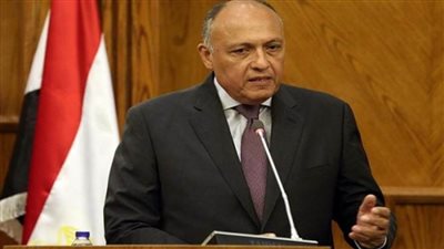 وزير الخارجية يبحث مع نظيره الياباني العلاقات الثنائية وعدد من الملفات