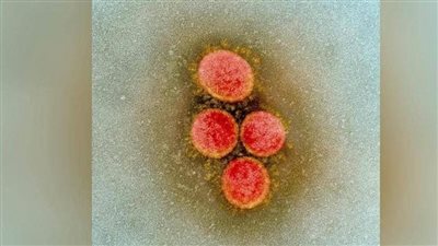 قاموا بإدخال 18 ألف تعديل.. علماء يطورون صيغة حياة مضادة للأمراض 