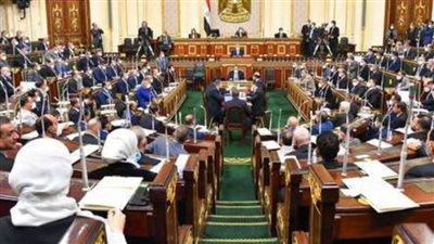 لهذا السبب.. «رياضة النواب» تطالب بالغاء قرارالدمج 